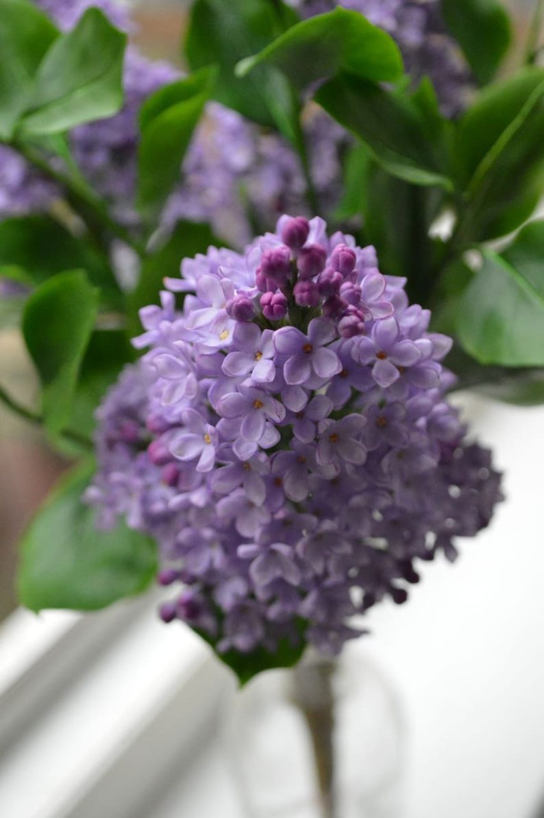 Branche de lilas en pâte polymère 25-30 cm, fleurs artisanales