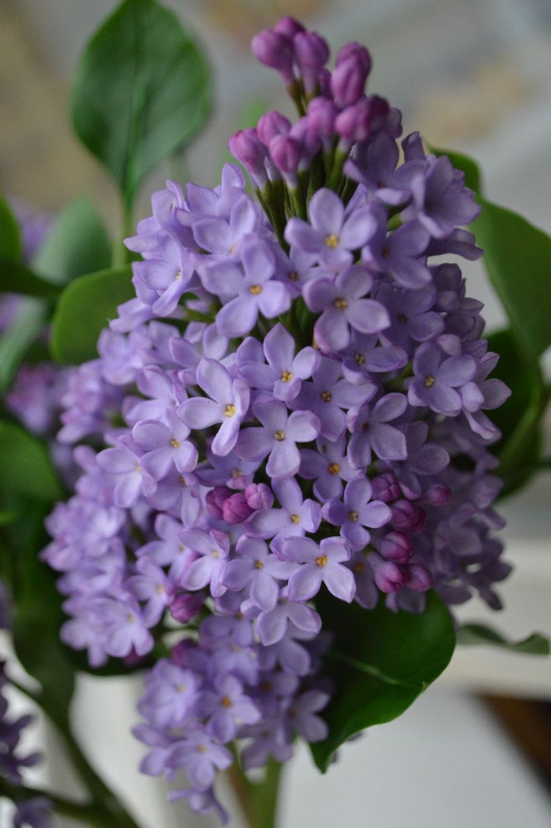 Branche de lilas en pâte polymère 25-30 cm, fleurs artisanales