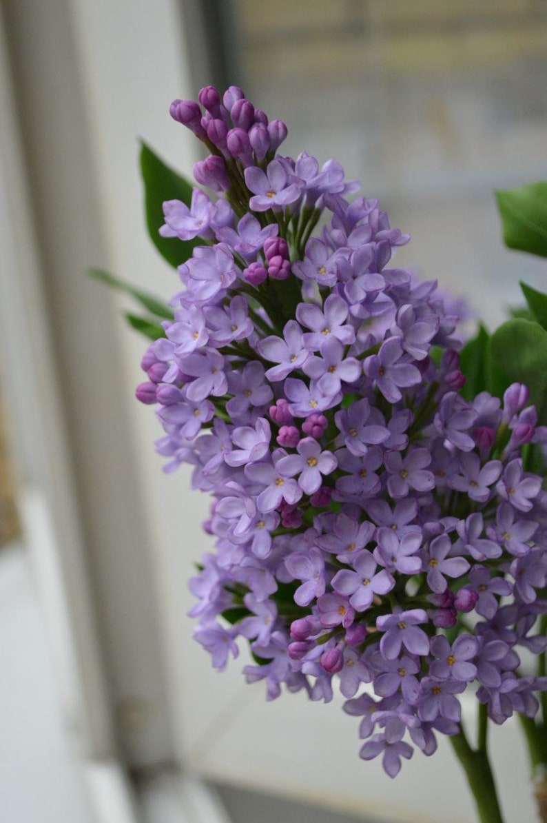 Branche de lilas en pâte polymère 25-30 cm, fleurs artisanales