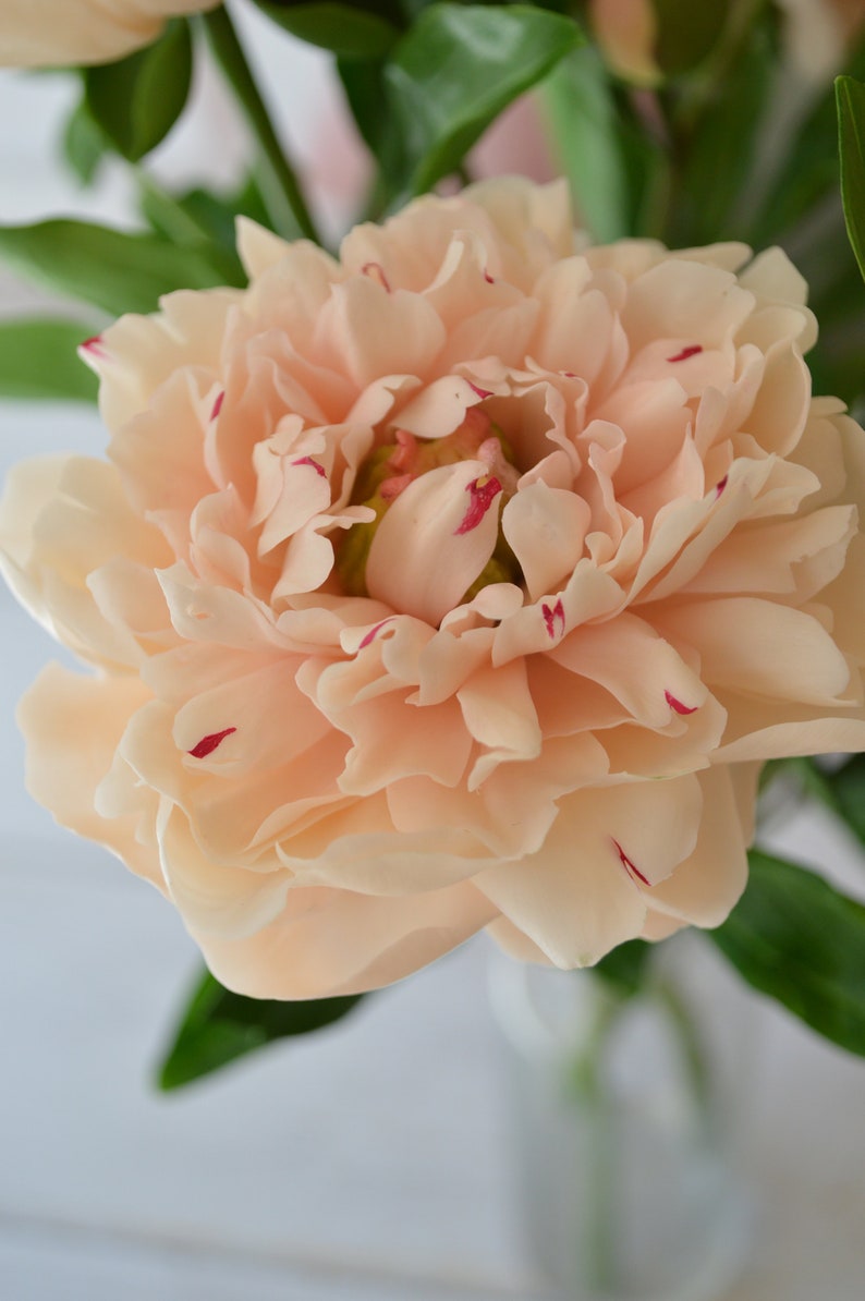 Pivoine rose en pâte polymère florale - Branche avec fleur épanouie et boutons, diamètre 10-11 cm, hauteur 38-40 cm