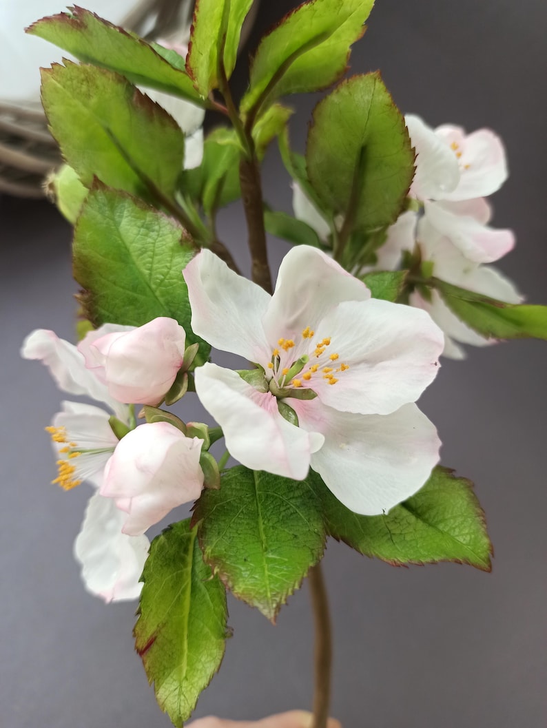 Branche de pommier en fleurs en porcelaine froide, 26 cm, décoration de table printanière