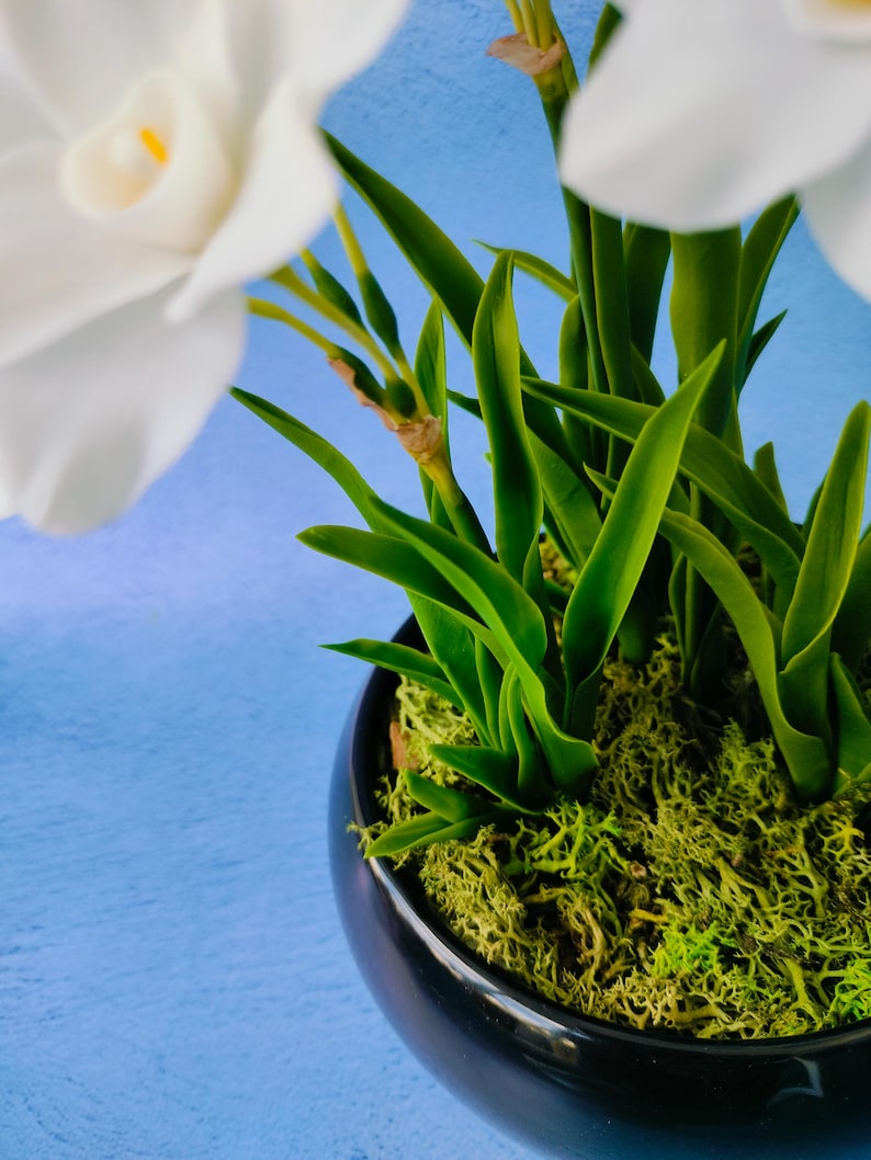 Pot de jonquilles en porcelaine froide, Bouquet réaliste de 15 fleurs, Décoration intérieur printanière