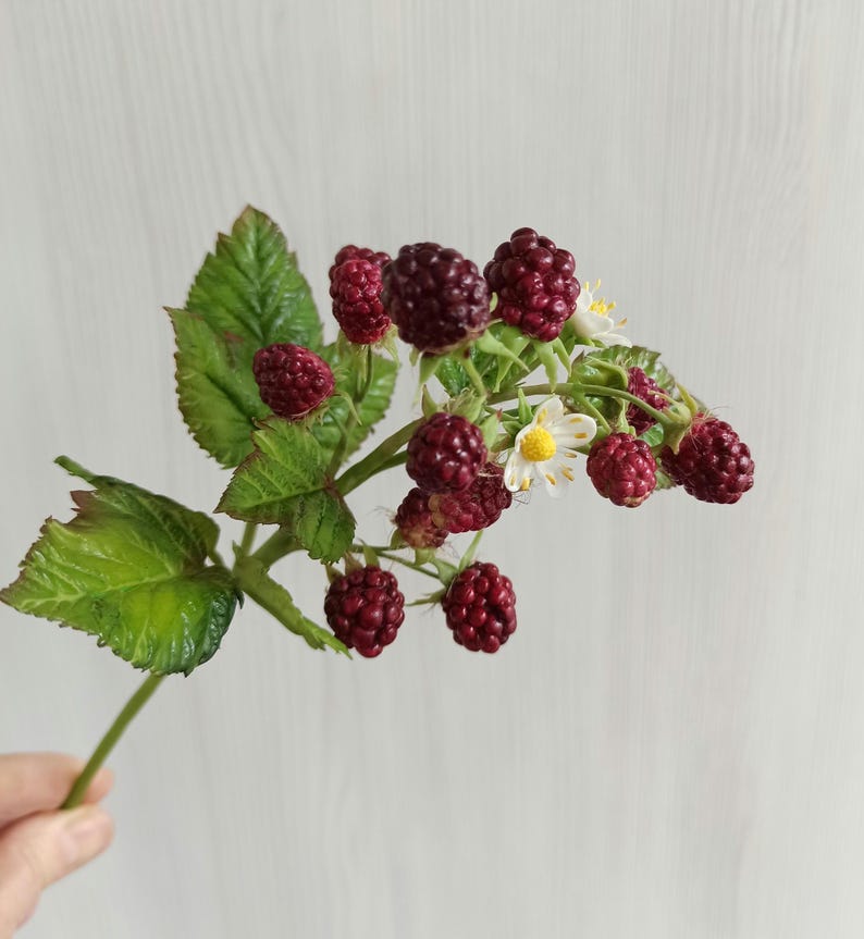 Branche de mûre en pâte polymère réaliste, décoration maison 26 cm