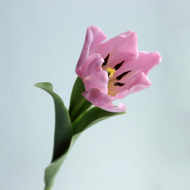 Tulipe artificielle en porcelaine froide 40 cm, fleur réaliste faite à la main