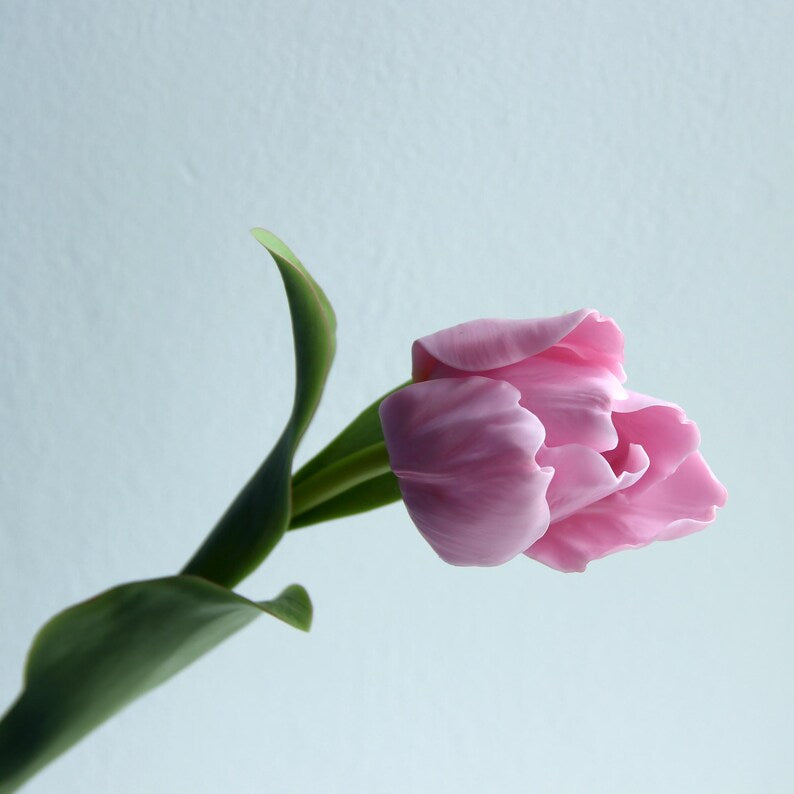 Tulipe artificielle en porcelaine froide 40 cm, fleur réaliste faite à la main