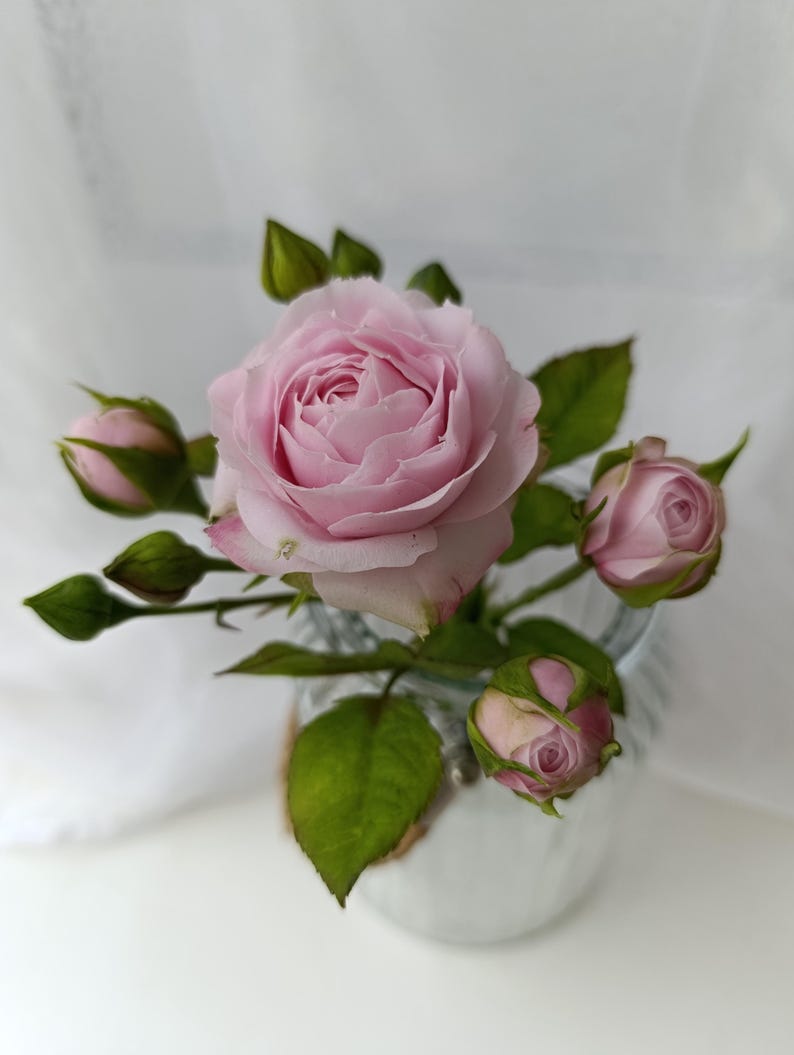 Rose réaliste en argile polymère, branche de rosier artificielle, tige longue 22 cm, fleur poudré