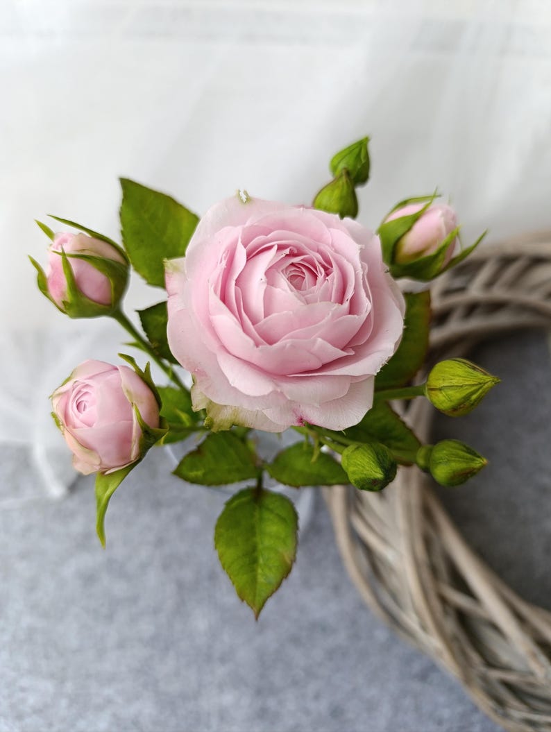 Rose réaliste en argile polymère, branche de rosier artificielle, tige longue 22 cm, fleur poudré