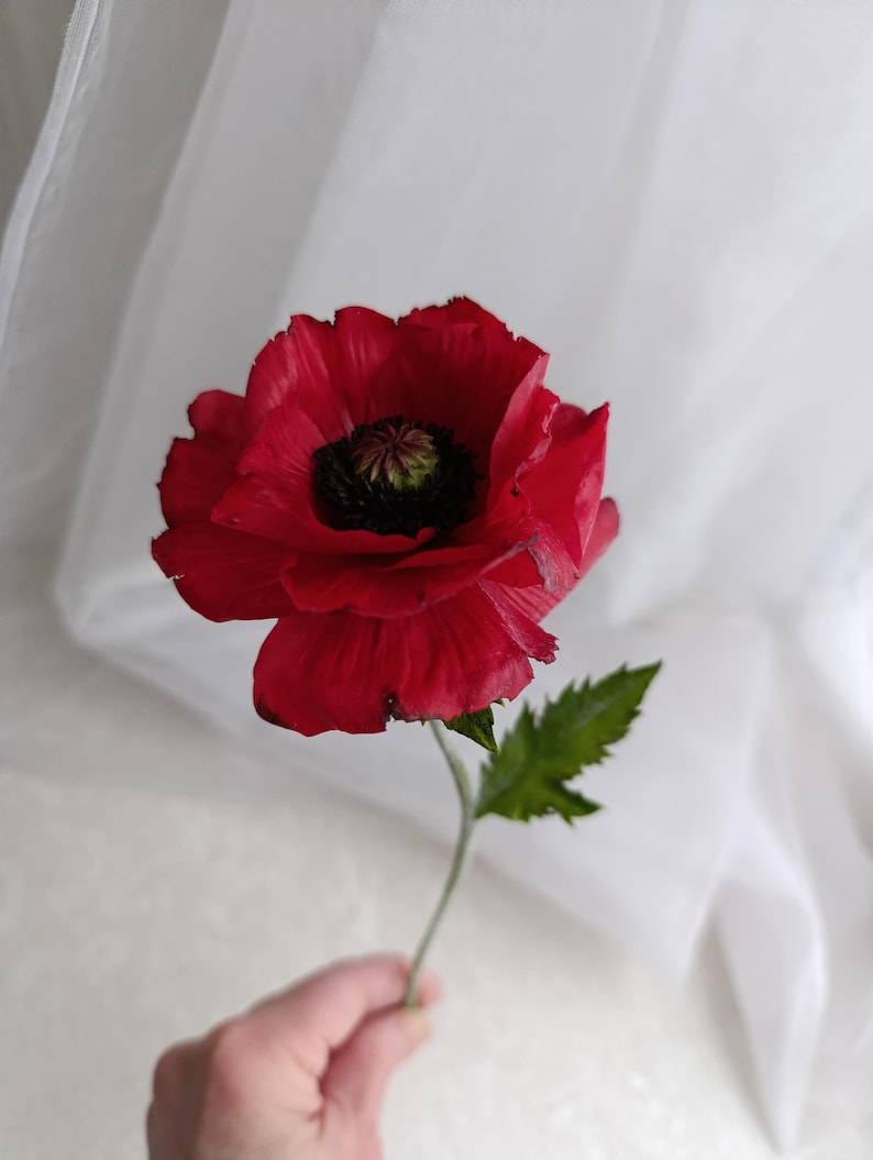 Coquelicot rouge en porcelaine froide, fleur réaliste en pâte polymère, décoration intérieure, 8 cm de diamètre, 25 cm de hauteur