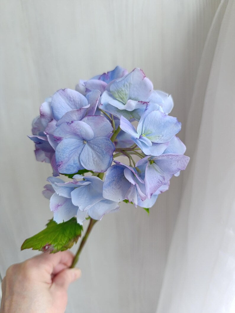 Fleur d'hortensia bleu faite main, porcelaine froide réaliste, tige de 37 cm, décoration intérieure printanière