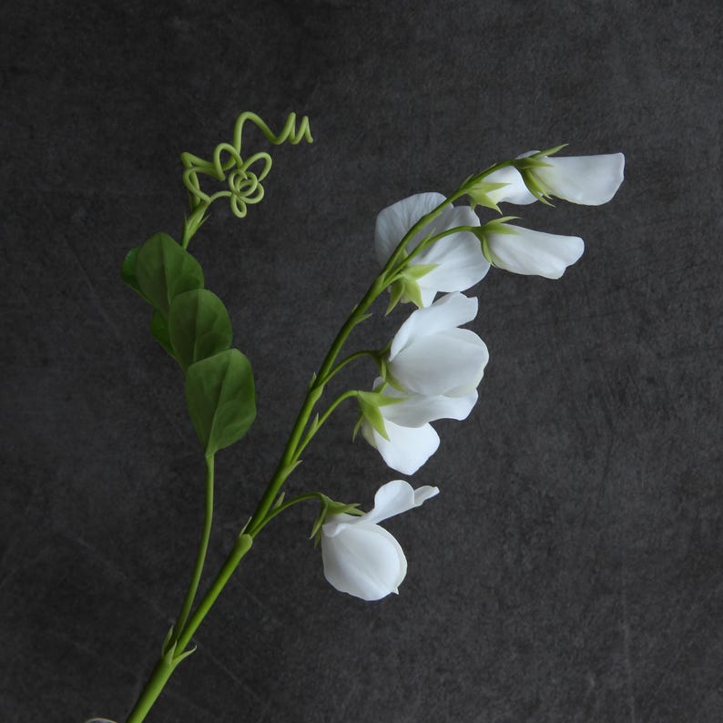 Tige de fleur de pois de senteur en porcelaine froide, fait main, 29 cm