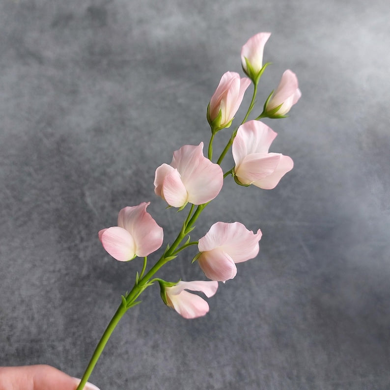 Tige de fleur de pois de senteur en porcelaine froide, fait main, 29 cm