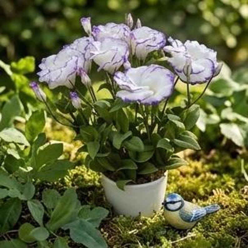 Bouquet de Fleurs Artificielles en Pâte Polymère - Eustoma - Porcelaine Froide - 7 Fleurs avec Vase en Céramique
