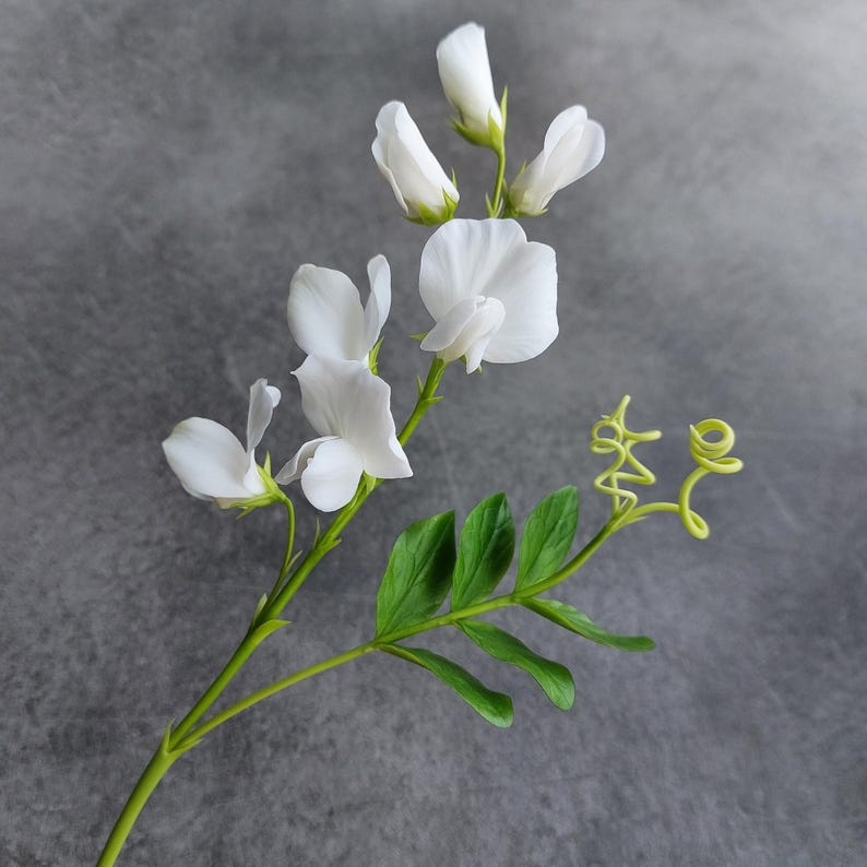 Tige de fleur de pois de senteur en porcelaine froide, fait main, 29 cm