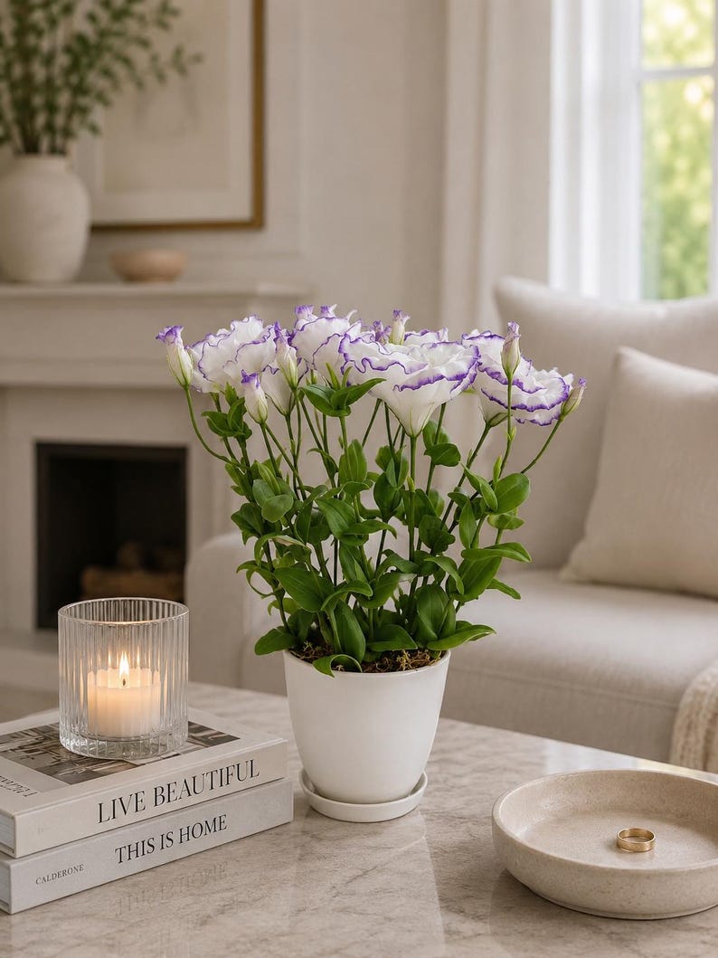 Bouquet de Fleurs Artificielles en Pâte Polymère - Eustoma - Porcelaine Froide - 7 Fleurs avec Vase en Céramique
